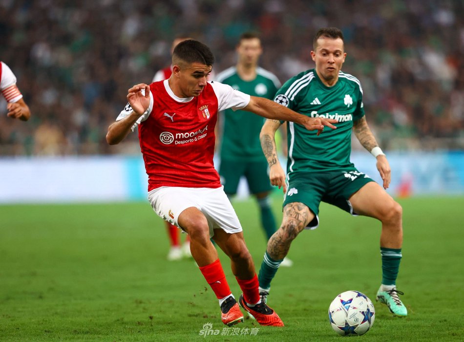 从法律法规 从法律法规